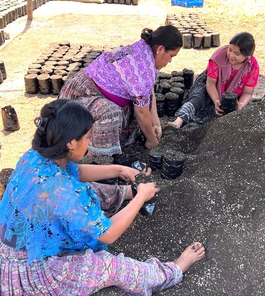 From Dirt to Dreams: EnLevo’s Nursery