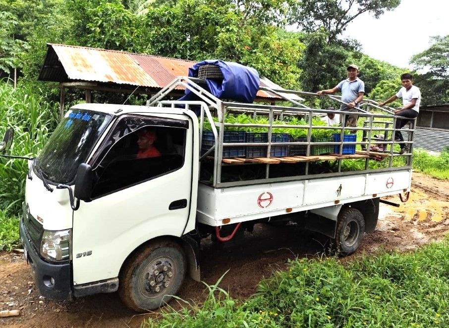 Planting Hope, Harvesting Prosperity